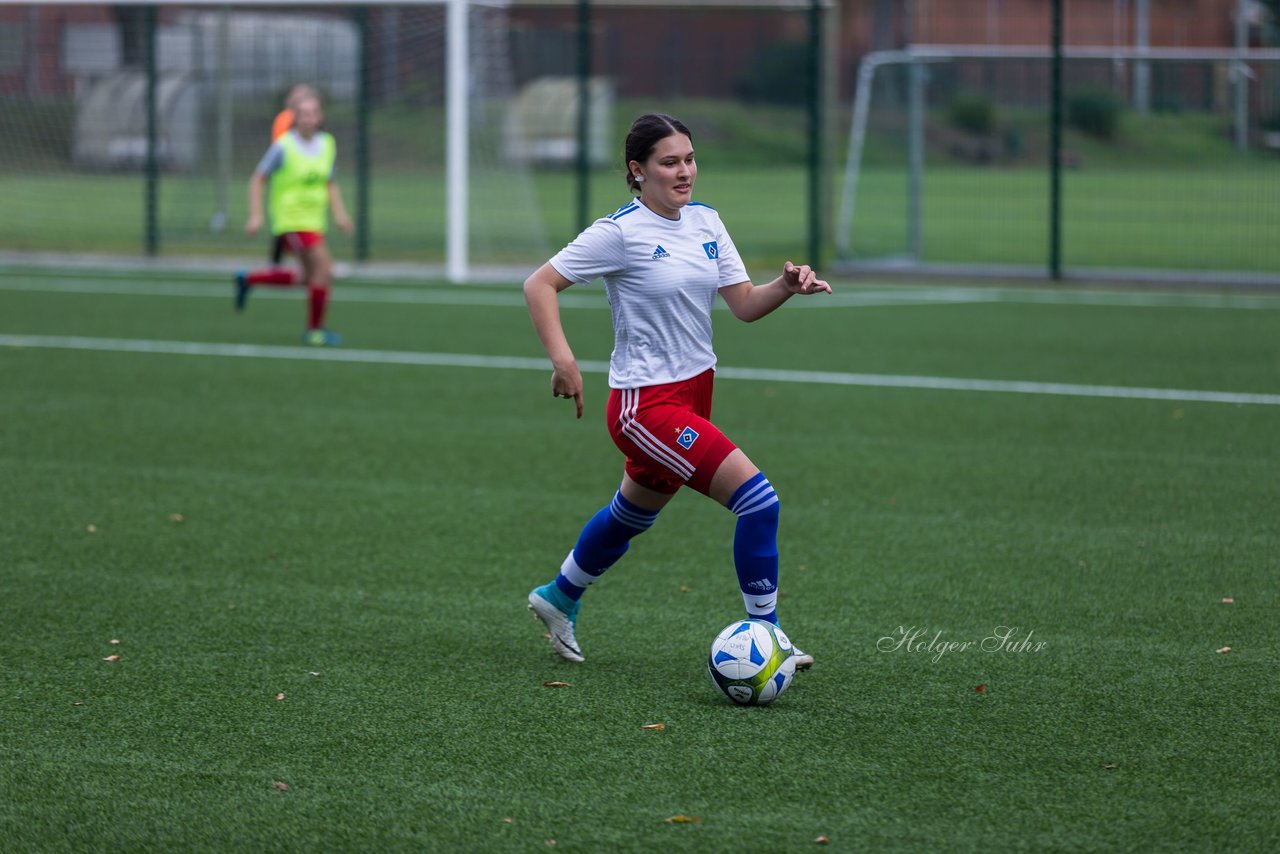 Bild 168 - C-Juniorinnen HSV - Walddoerfer : Ergebnis: 9:1